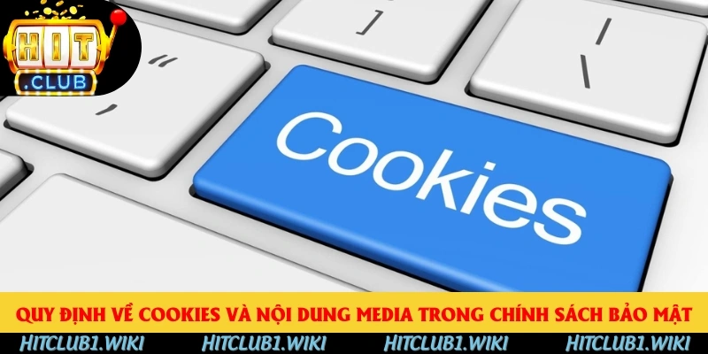 Quy định về cookies và nội dung media trong chính sách bảo mật