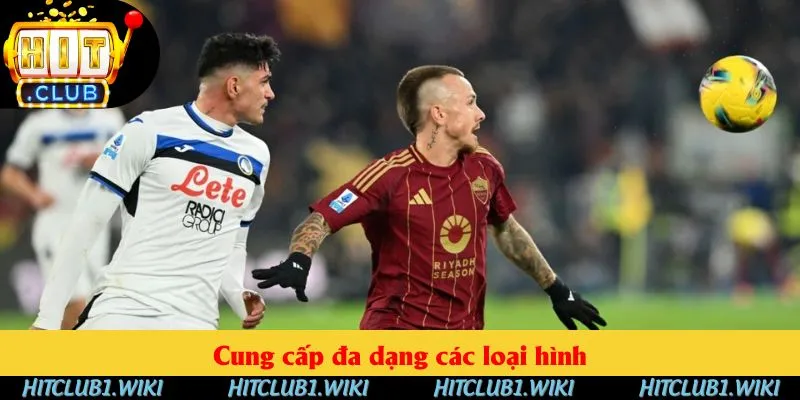 Bộ môn cung cấp đa dạng các loại hình