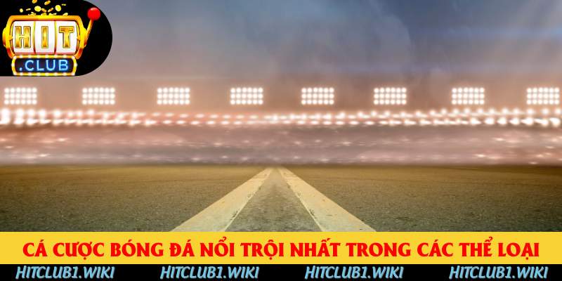 Cá cược bóng đá nổi trội nhất trong các thể loại Cá cược bóng đá nổi trội nhất trong các thể loại