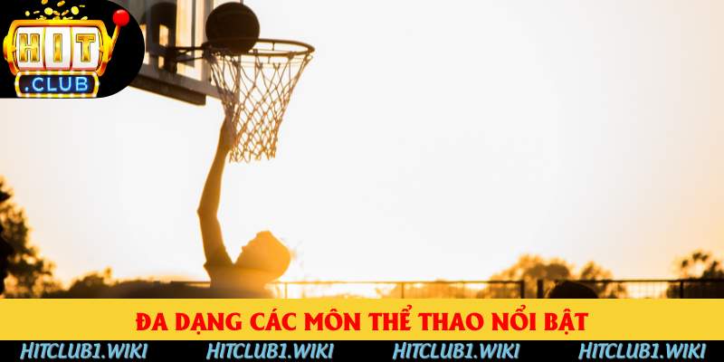 Đa dạng các môn thể thao nổi bật Đa dạng các môn thể thao nổi bật