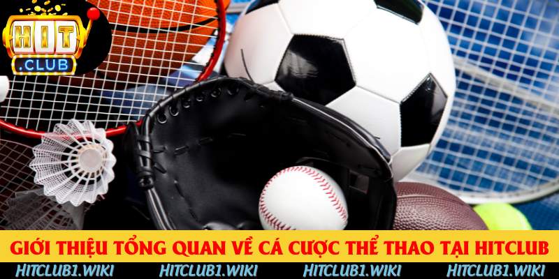 Giới thiệu tổng quan về cá cược thể thao tại HITCLUB Giới thiệu tổng quan về cá cược thể thao tại HITCLUB